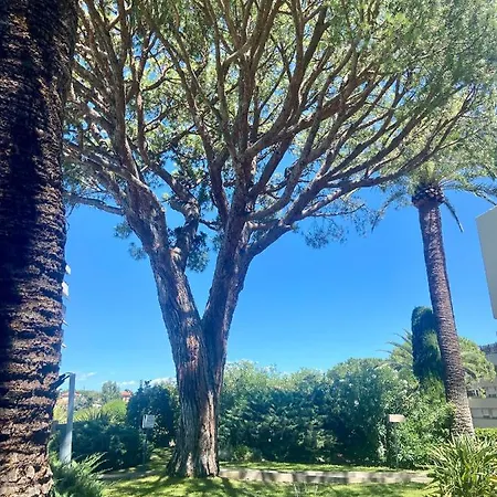 Appartamento 5 Minutes Cannes Et Plages, Terrasse, Piscine *