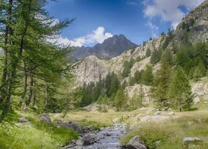 5 Minutes Cannes Et Plages, Terrasse, Piscine 발로리스