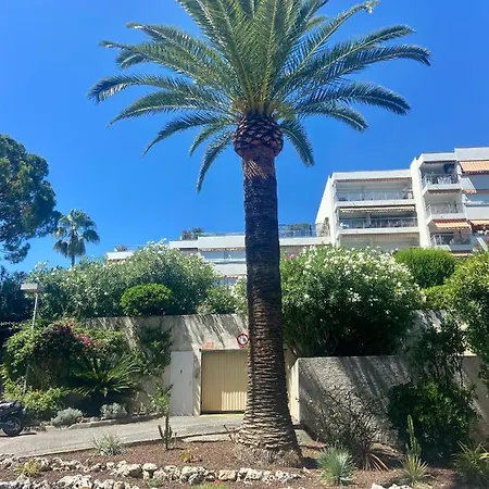 5 Minutes Cannes Et Plages, Terrasse, Piscine