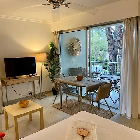 5 Minutes Cannes Et Plages, Terrasse, Piscine Apartment