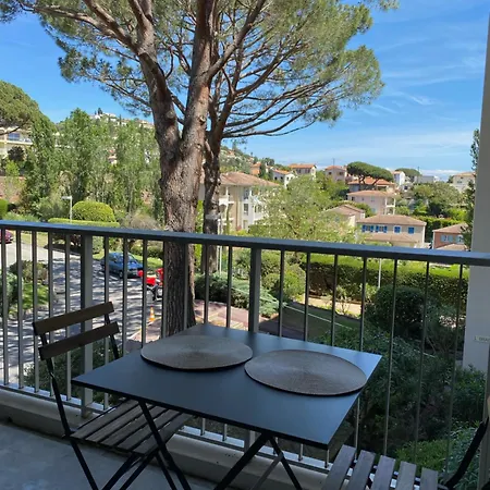 5 Minutes Cannes Et Plages, Terrasse, Piscine Appartement *